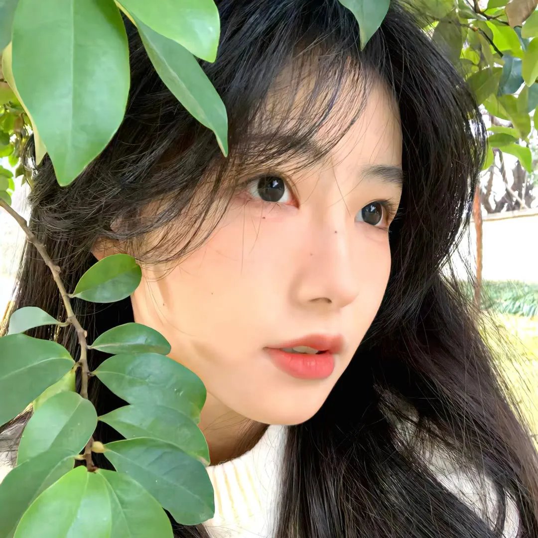 美人心蛊